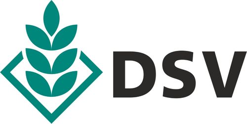 DSV UK Ltd