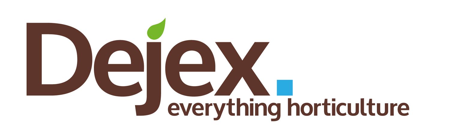 Dejex Supplies Ltd