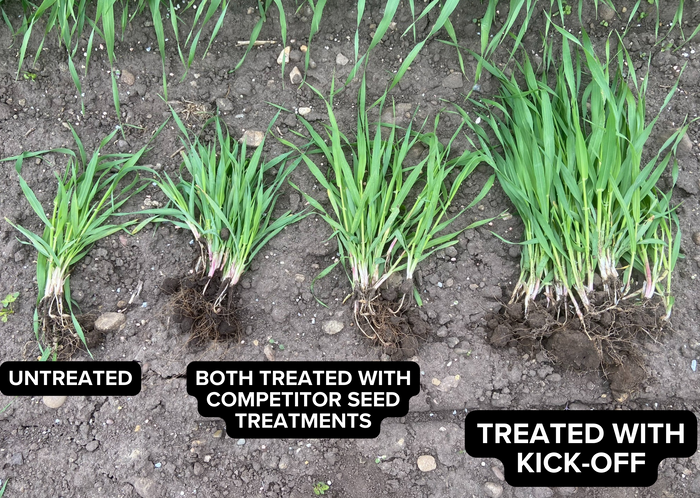 Kick-Off Seed Treatment