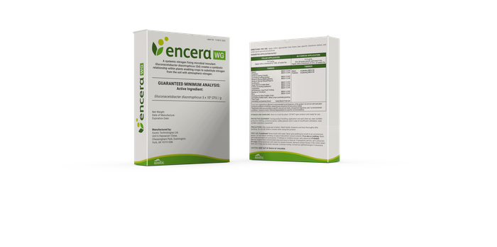 Encera WG