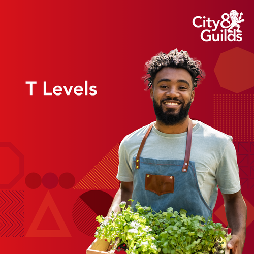 T Levels