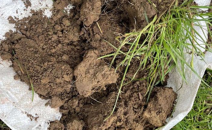 Why Detailed Soil Data Will Be Critical for Spring Nutrition Strategies in 2026 