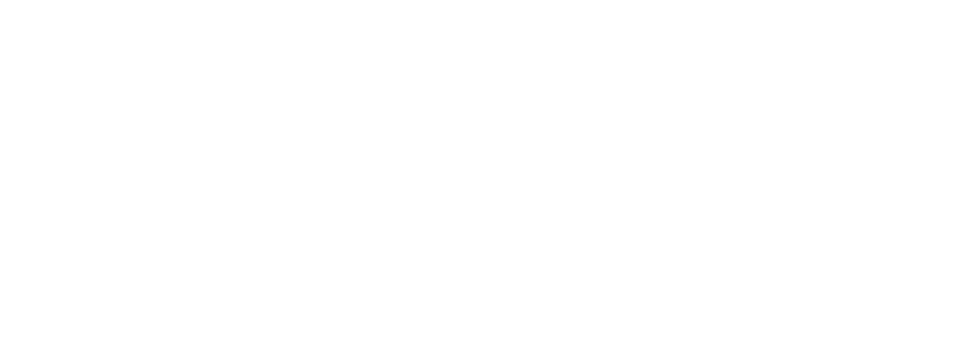 LLT LOGO WHITE