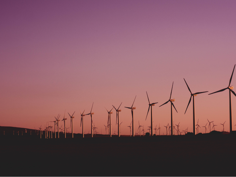 RENEWABLE ENERGY
