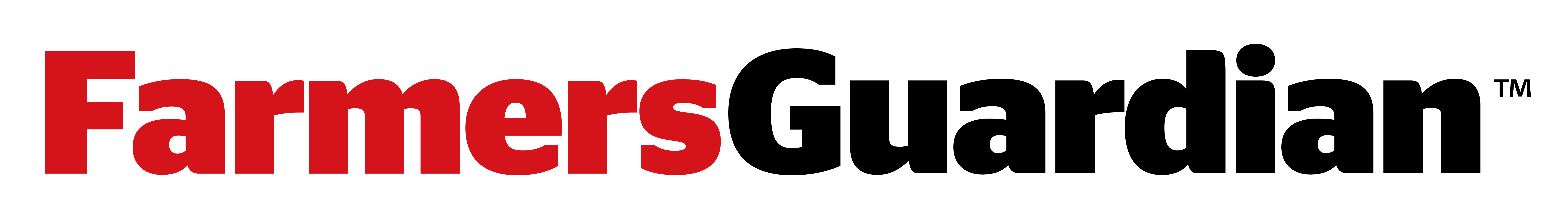 FG logo