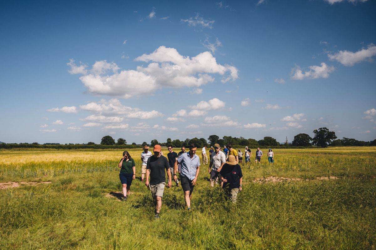 From Lab to Field: The Proven Science Behind BactoTech Products