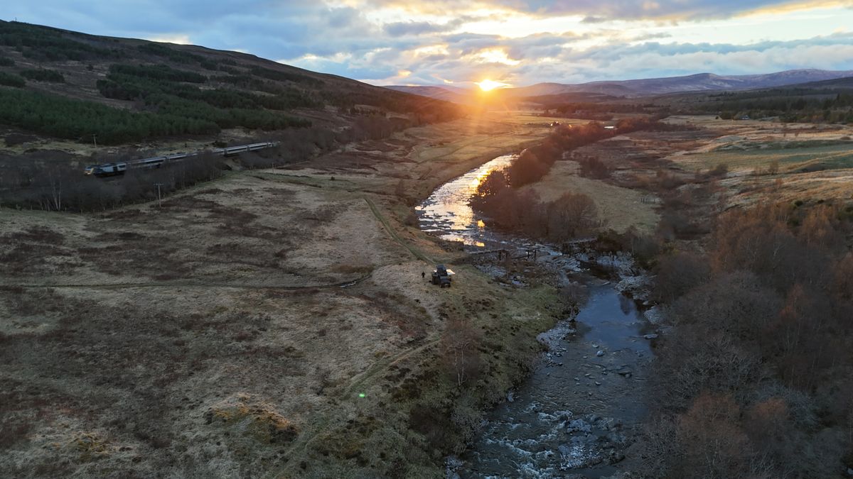 Unlock Effortless Income: Diversify Your Land with Off Grid Camp