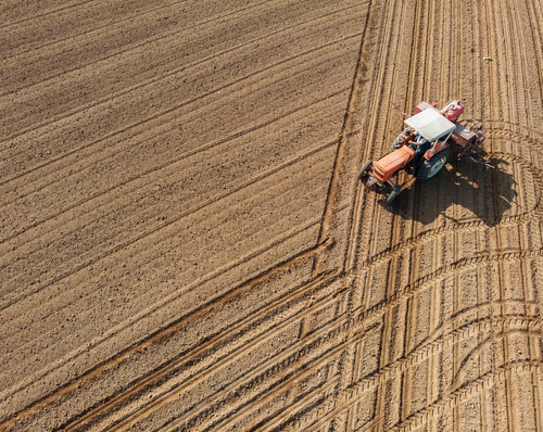 Rural Diversification Checklist - 12 Key Questions Before Diversifying Your Farm or Estate