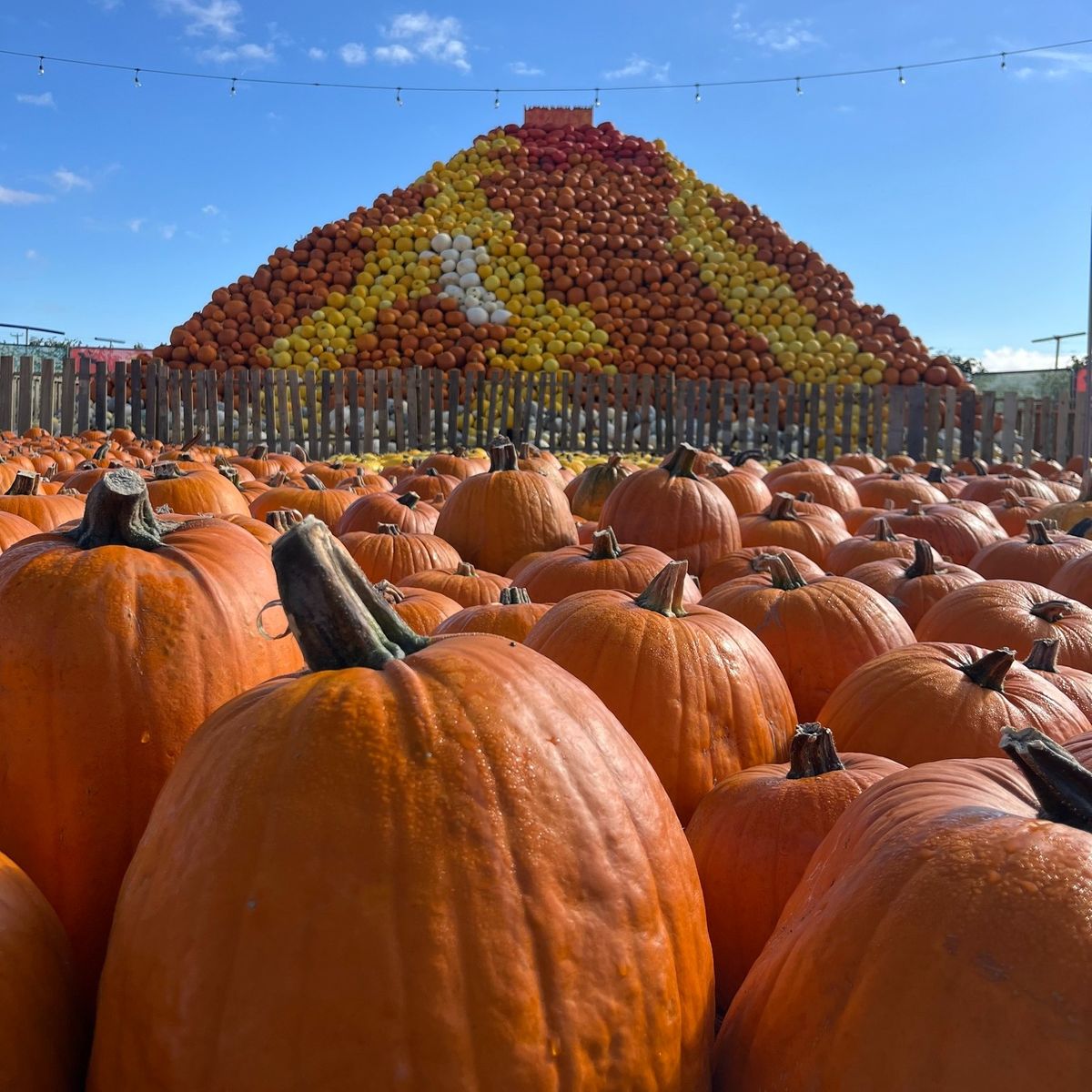 Exhibitor Spotlight: National Farm Attractions Network (NFAN)