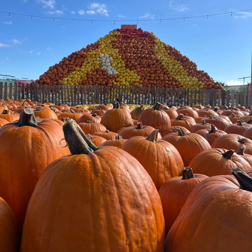 Exhibitor Spotlight: National Farm Attractions Network (NFAN)