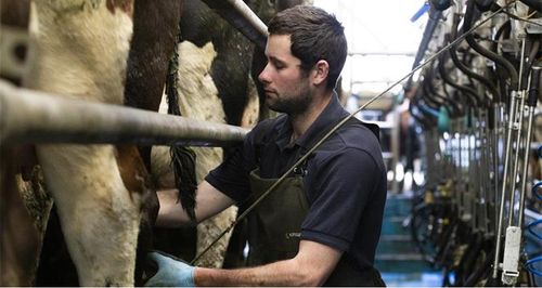 NFU Reports: Dairy producers braced for an uncertain future