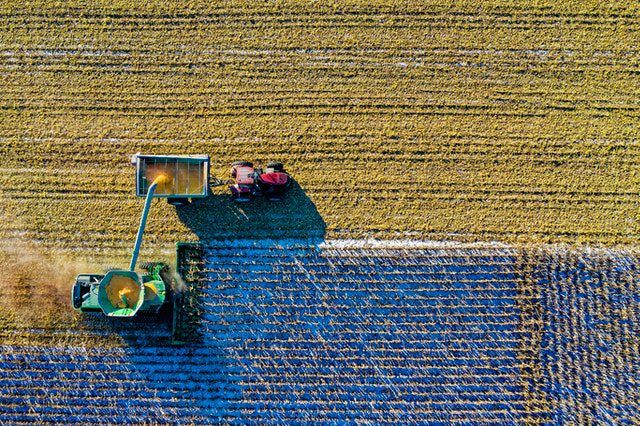 Ploughing Through Uncertainty: How UK Farmers Can Navigate the 2024 Financial Landscape