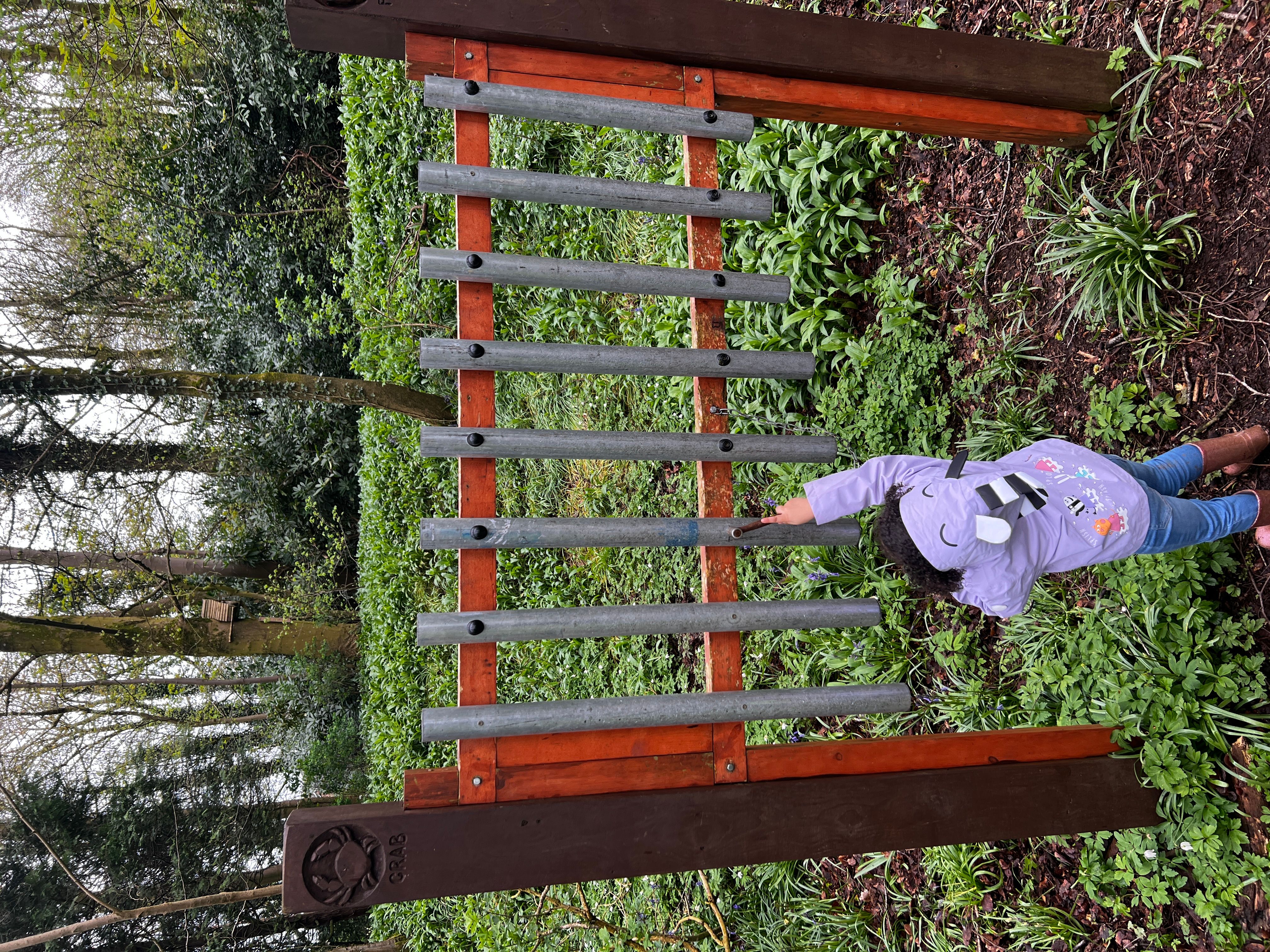 Sensory Trails