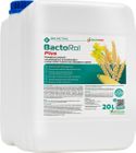 BactoRol Plus