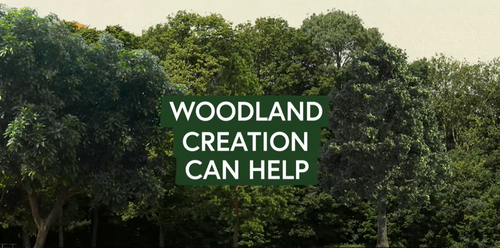 Woods for Nature
