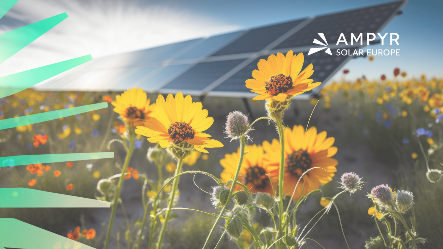 Ampyr Solar