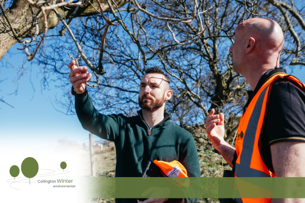 Collington Winter Environmental LTD