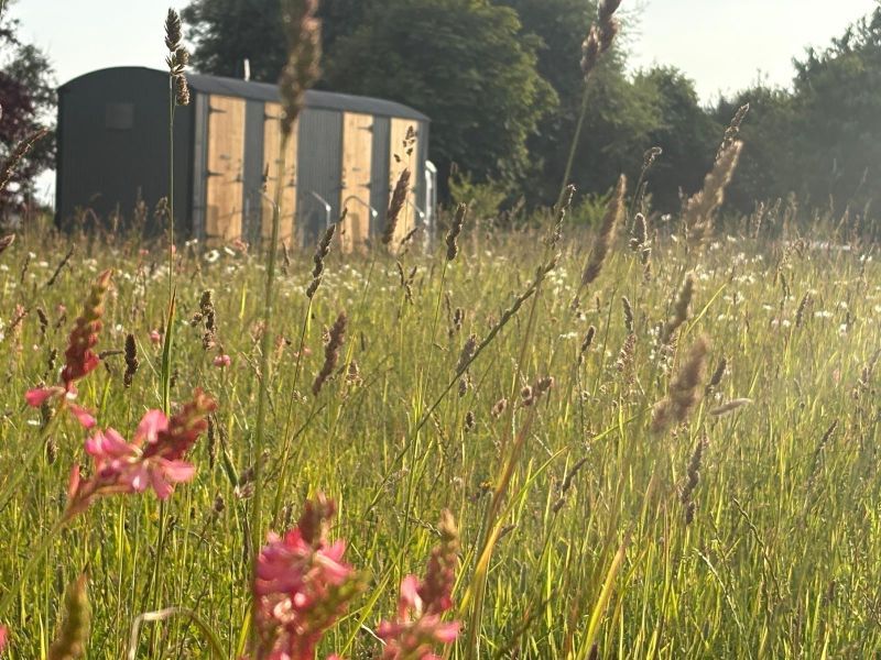 Nomadic Washrooms