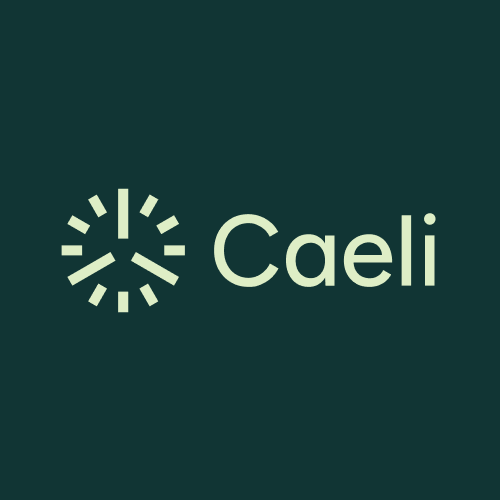 Caeli Platform for Renewables