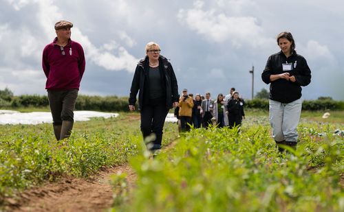 New markets, exports and procurement: what could they mean for farm prosperity?