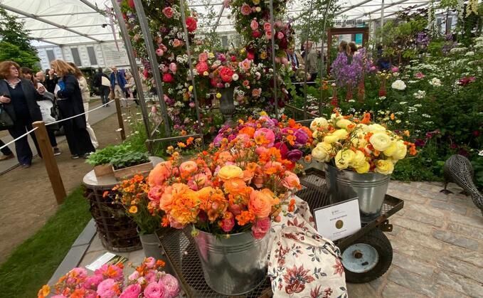 From Tulips to Tourism: Why Flower Farming is Blooming as a Diversification Opportunity