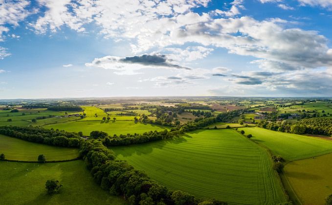 Tenant farmers: How to navigate on-farm diversification