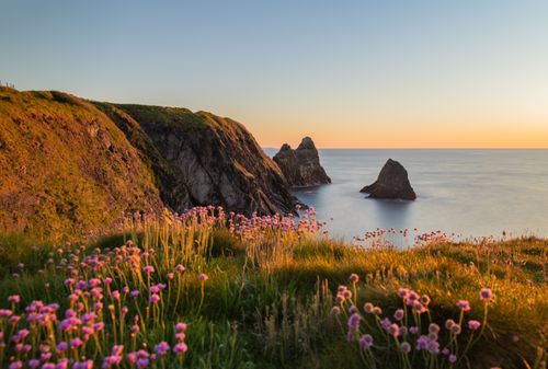 Biodiversity Net Gain Rule Changes: What They Mean for Farm Diversification
