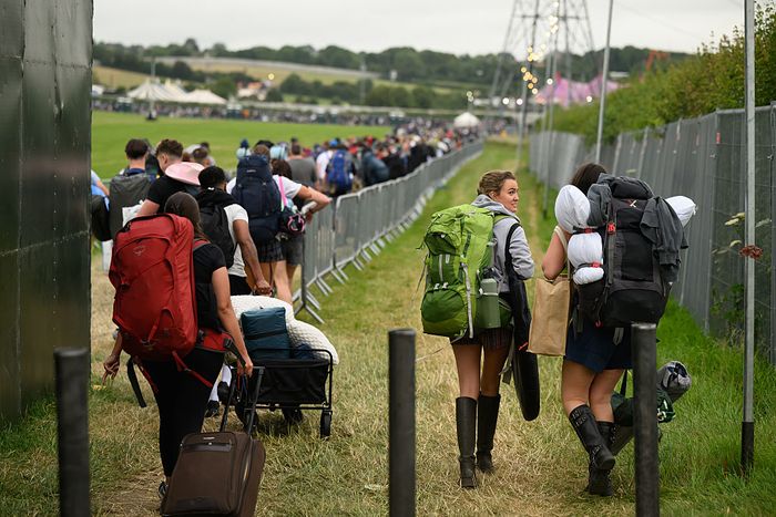 From Cows to Crowds: Glastonbury is the UK’s Most Iconic Farm Diversification Project