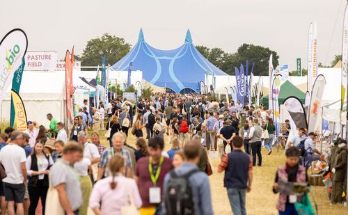 Inspiration from Lannock Farm’s Groundswell Festival 2025  