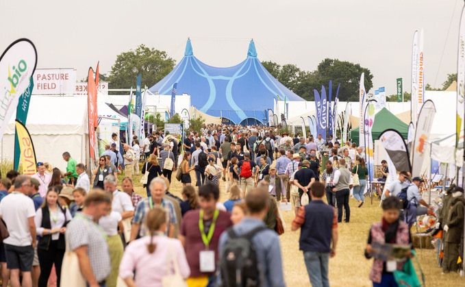 Inspiration from Lannock Farm’s Groundswell Festival 2025  