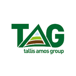 tallis amos