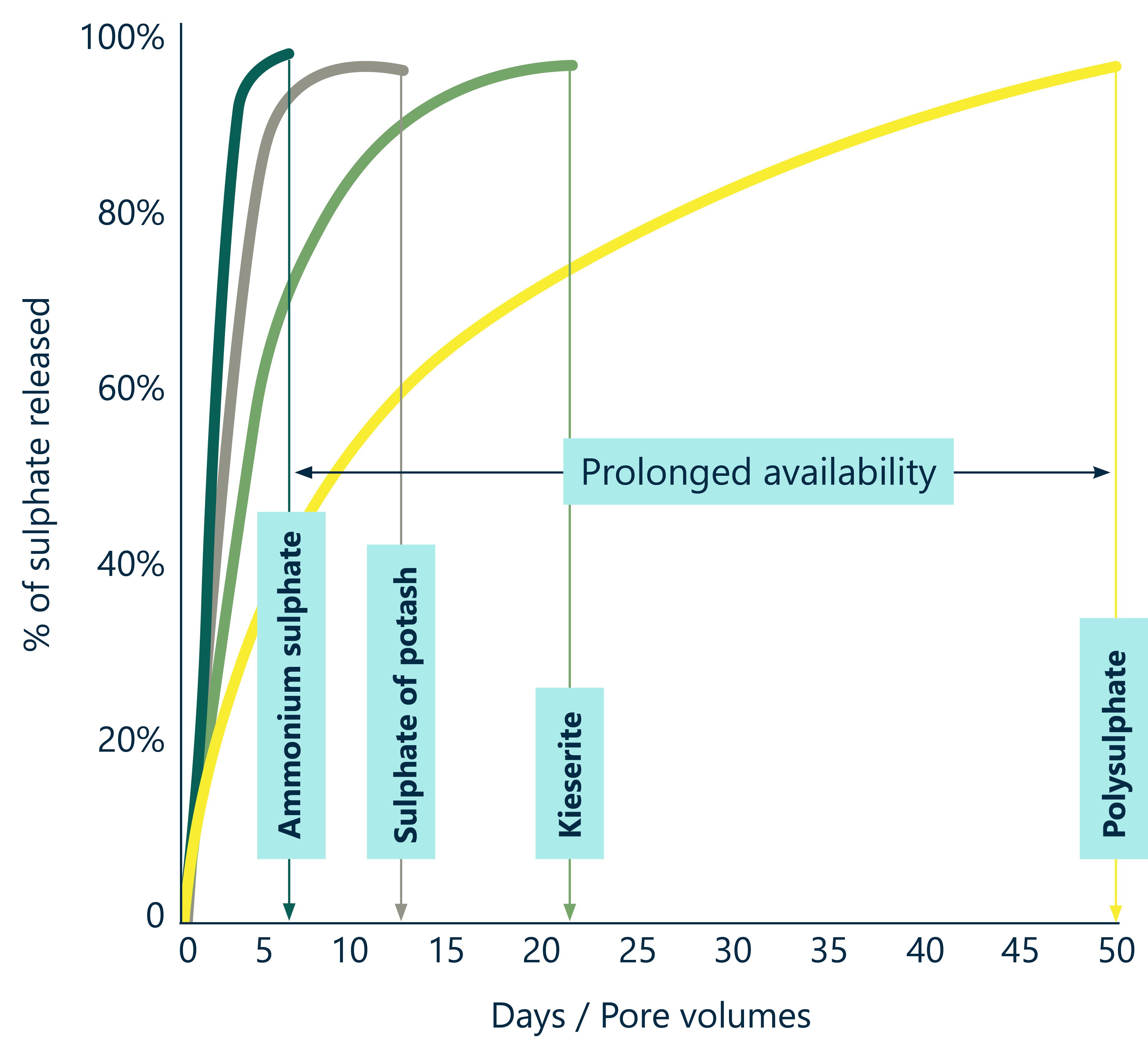 Why Polysulphate helps increase nutrient use efficiency