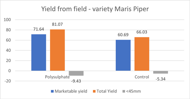 Polyphosphate increases marketable yield by 18% in potato trial.