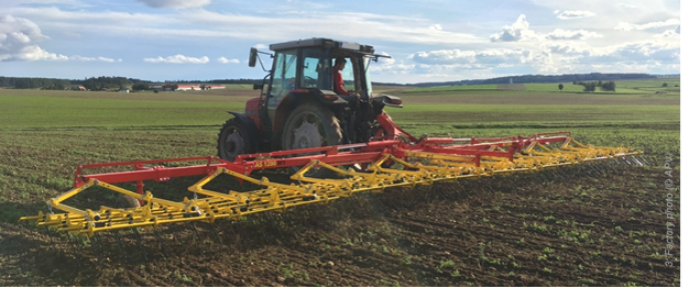 Tined Weeder AS 1200 M1 – The All-Rounder