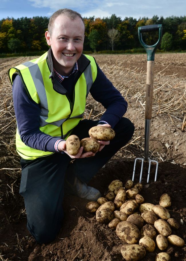 Scottish potato grower reduces seed stock without impact yield