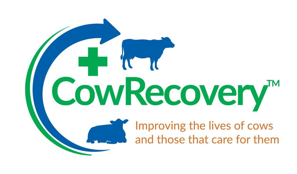 Cow Recovery