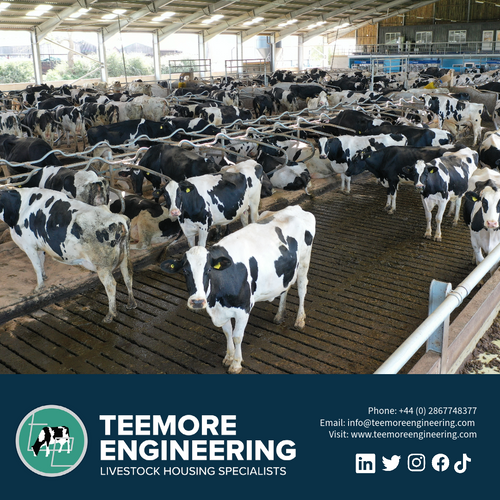 Teemore at the Lamma Show 2024: Unveiling Agricultural Excellence