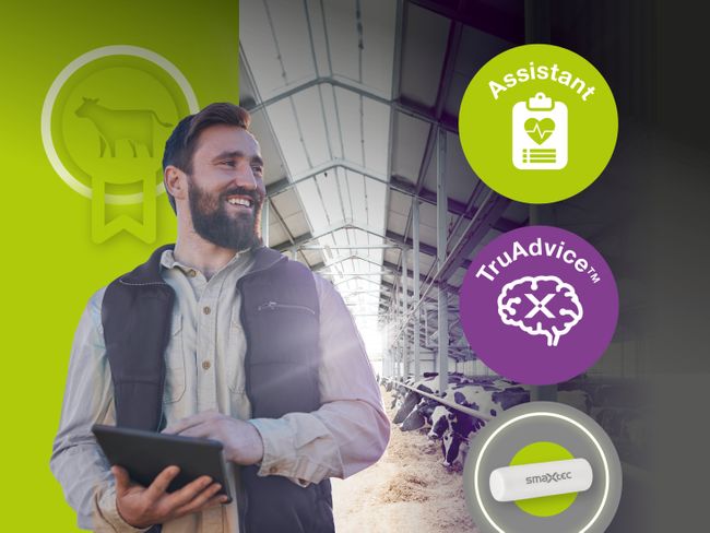 TruHealth Management: Even more AI-driven power for dairy farms