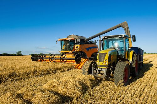 Celebrating the start of the second year of the Agriculture, Land Management and Production T Level