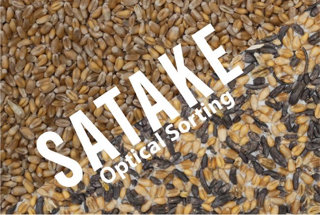 Live Optical Sorting Demonstrations at Lamma!