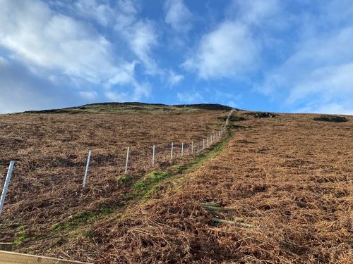 Triple X fencing in the Fells