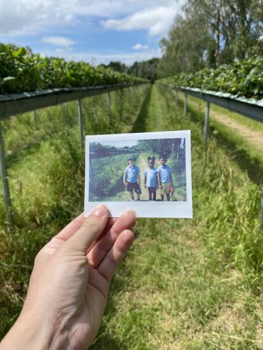 A Day on the Farm:Reflections from Country Trust Finance Team