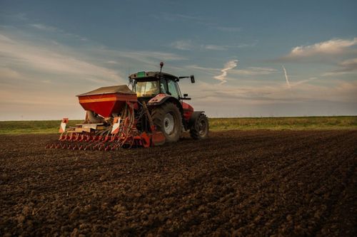 The Role of Nitrogen & Sulphur in Autumn Crop Establishment