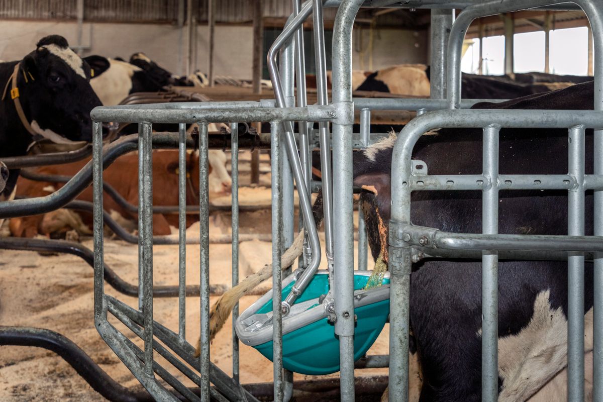 CowToilet Wins Two Top LAMMA Innovation Awards Ahead of UK debut