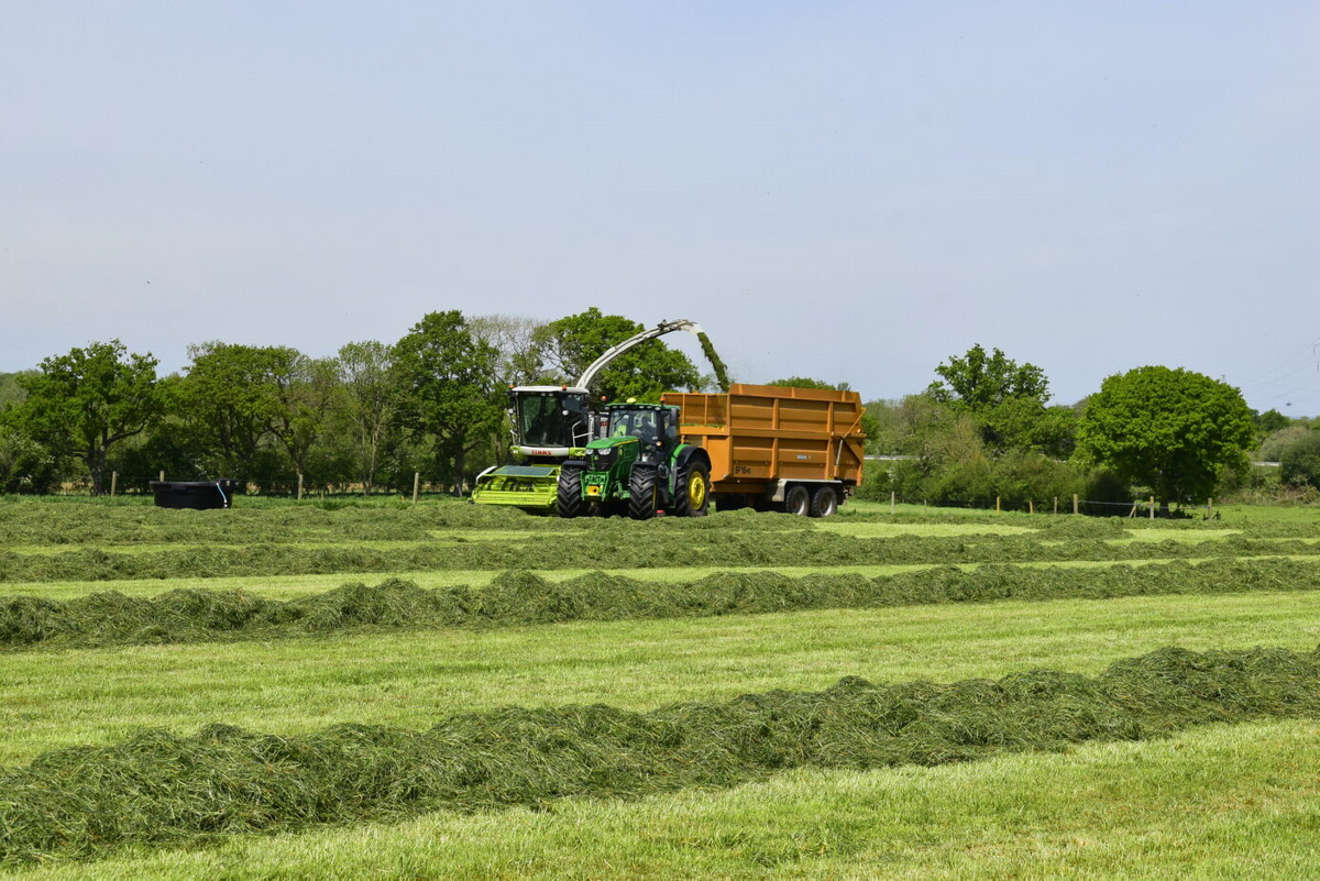How to improve silage quality & maximise milk from forage - choose the right inoculant.