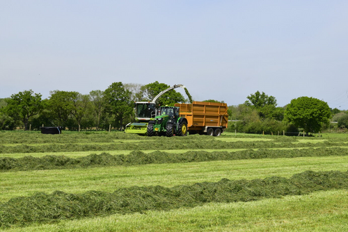 How to improve silage quality & maximise milk from forage - choose the right inoculant.