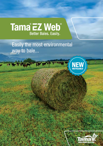 EZ Web Brochure