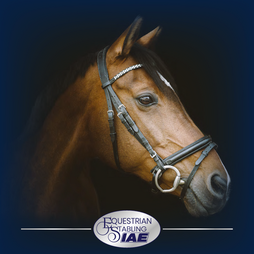 Equestrian Brochure