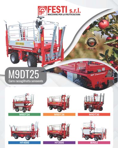 FESTI M9DT25 Datasheet