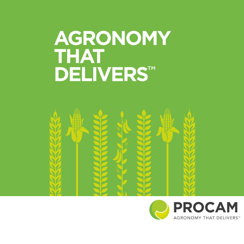 Company Brochure 2025